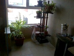 Coronation Road (D10), Detached #456953361